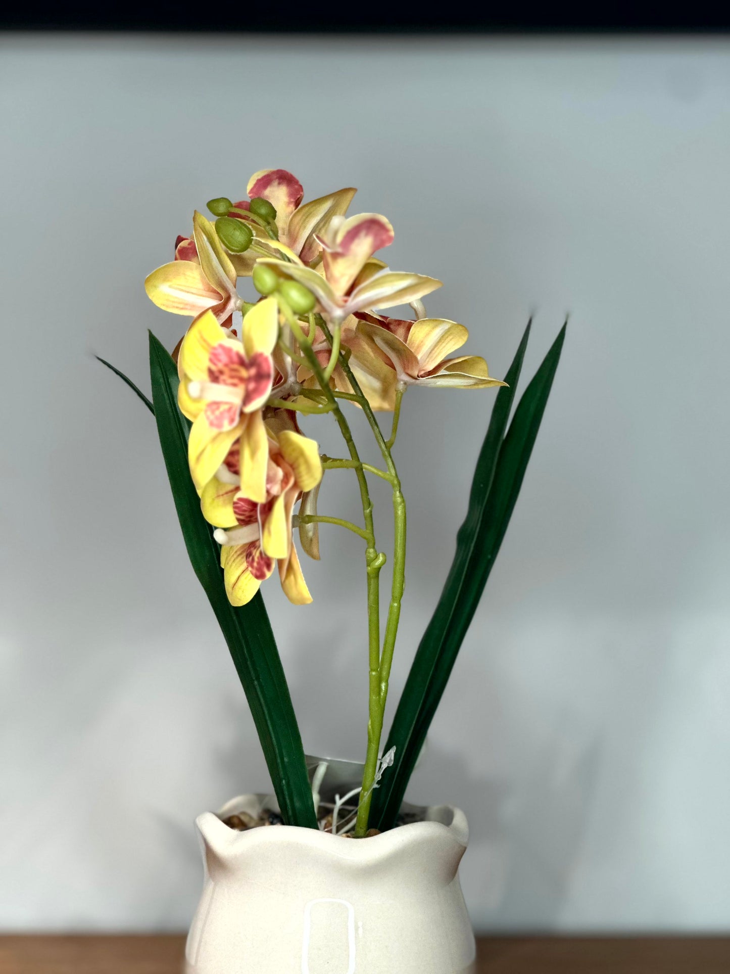 Orquídea Artificial Amarilla en Macetero Blanco