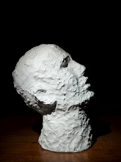 Escultura Cabeza Blanca Texturizada