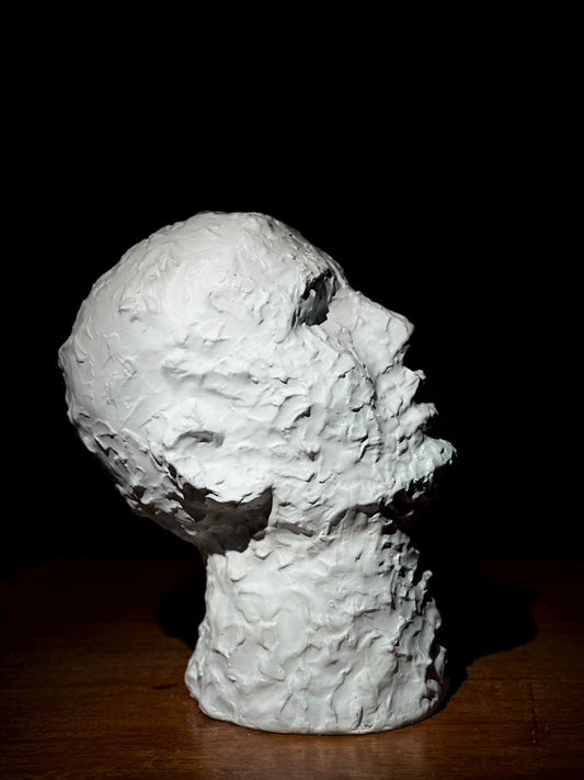 Escultura Cabeza Blanca Texturizada