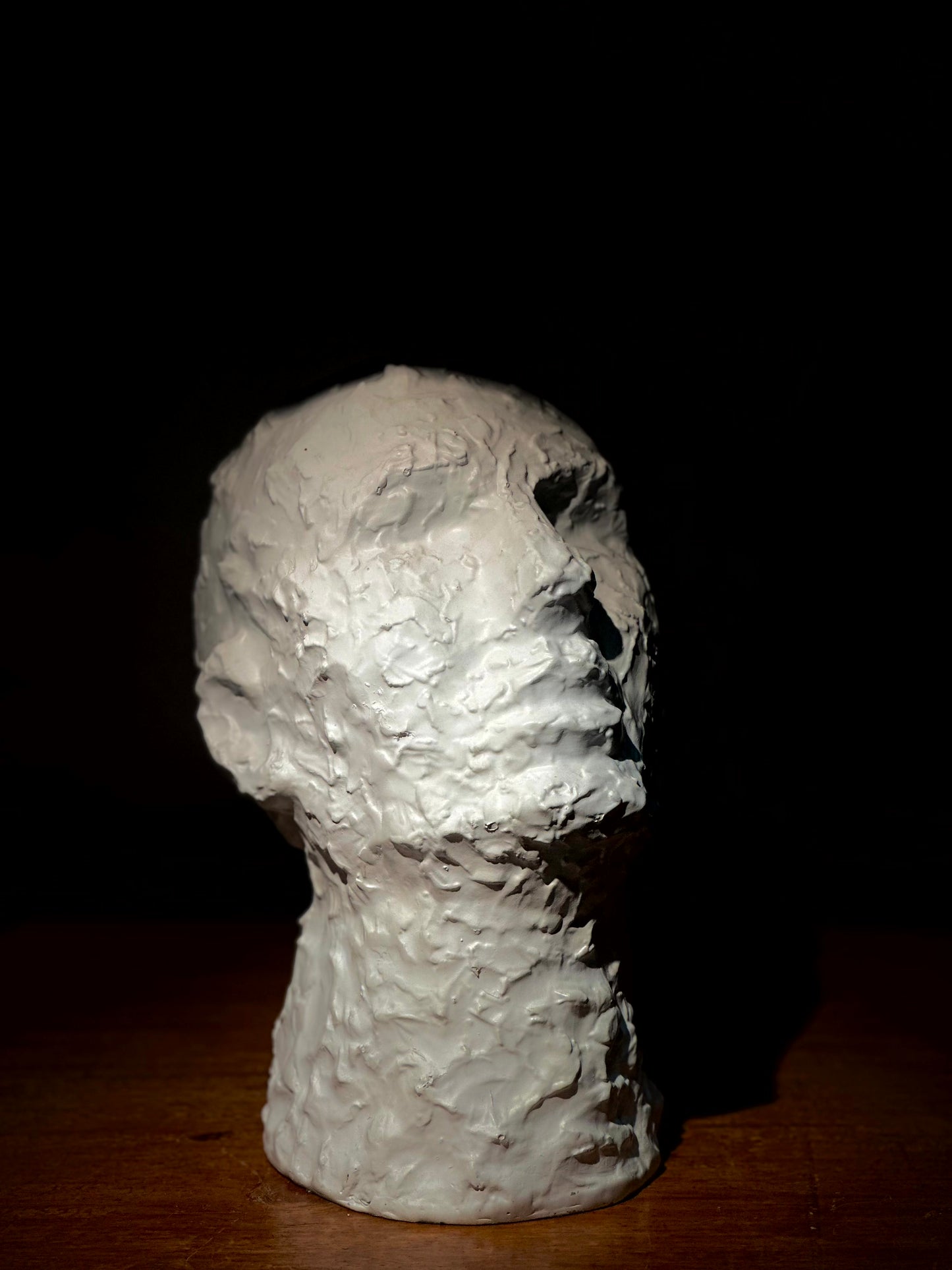 Escultura Cabeza Blanca Texturizada