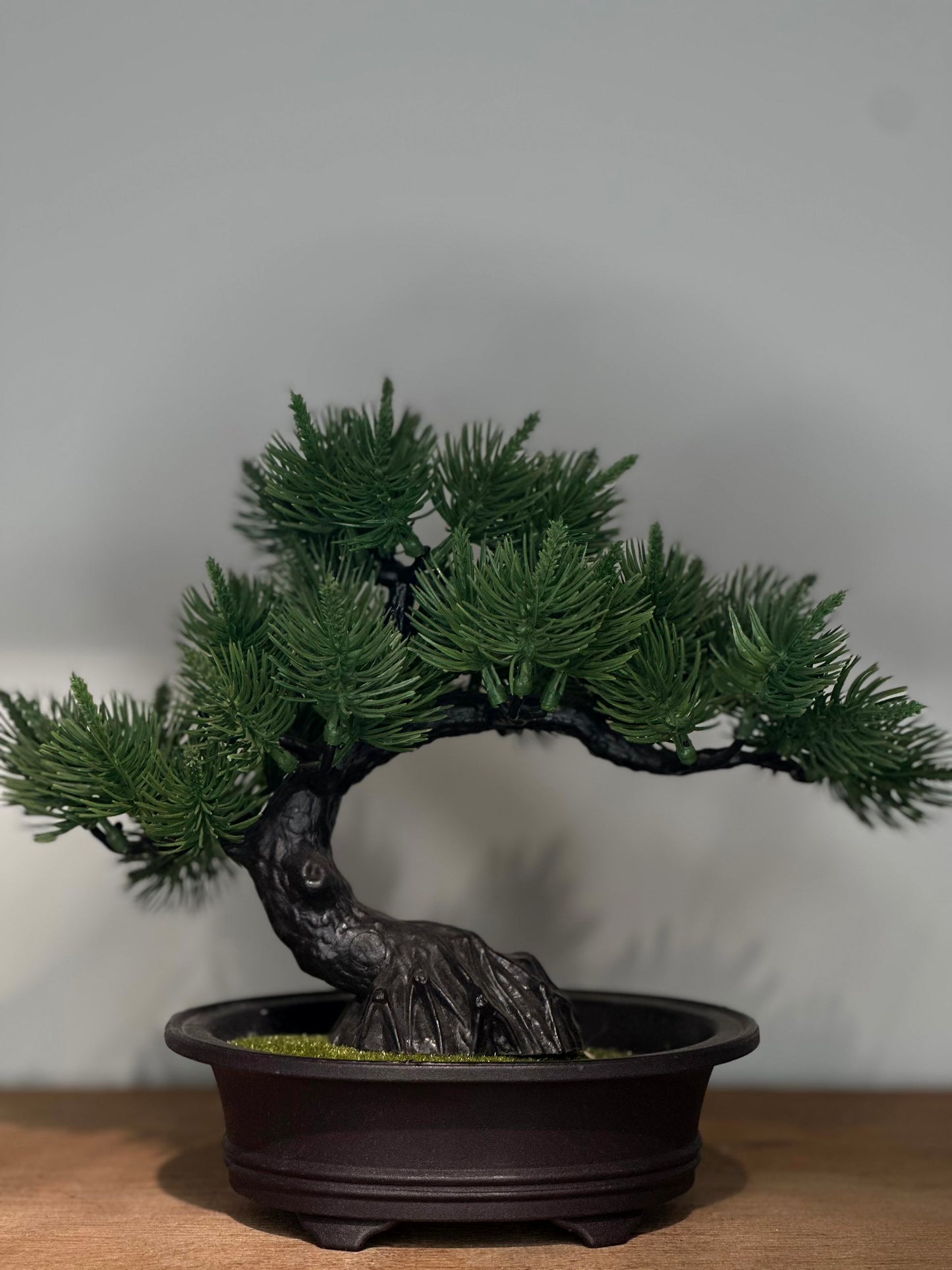 Bonsái Decorativo Artificial