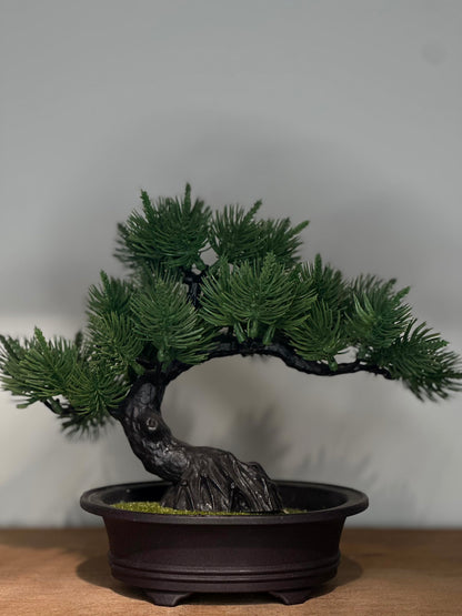Bonsái Decorativo Artificial
