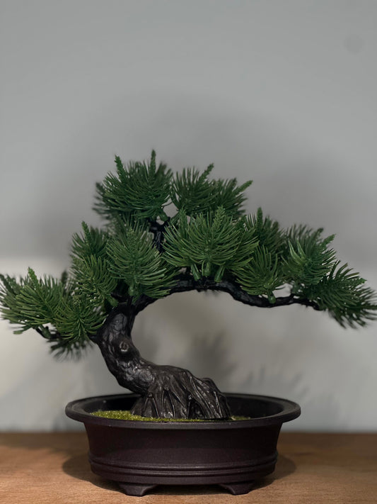 Bonsái Decorativo Artificial