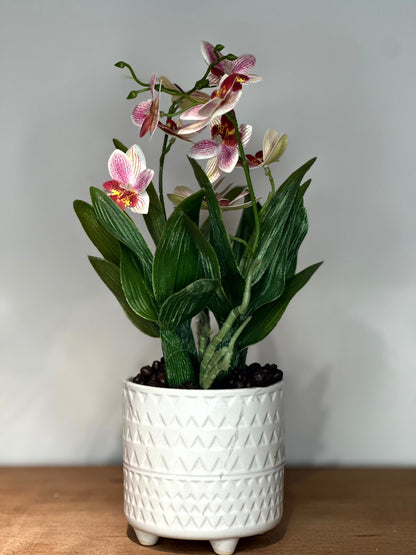 Orquídea Artificial en Macetero Blanco