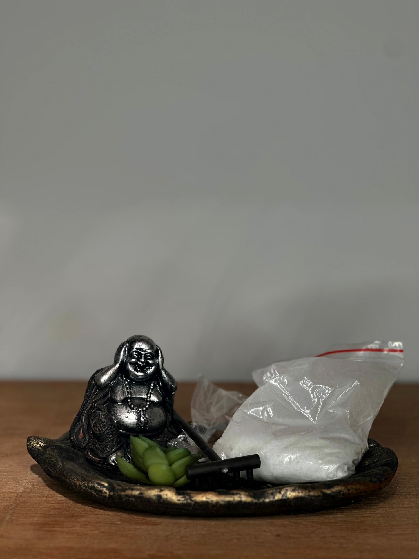 Mini Jardín Zen con Buddha, Suculenta y Rastrillo