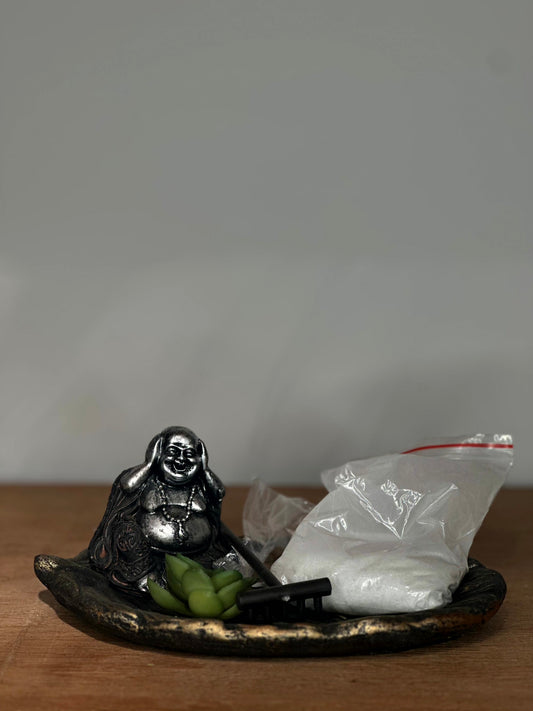 Mini Jardín Zen con Buddha, Suculenta y Rastrillo
