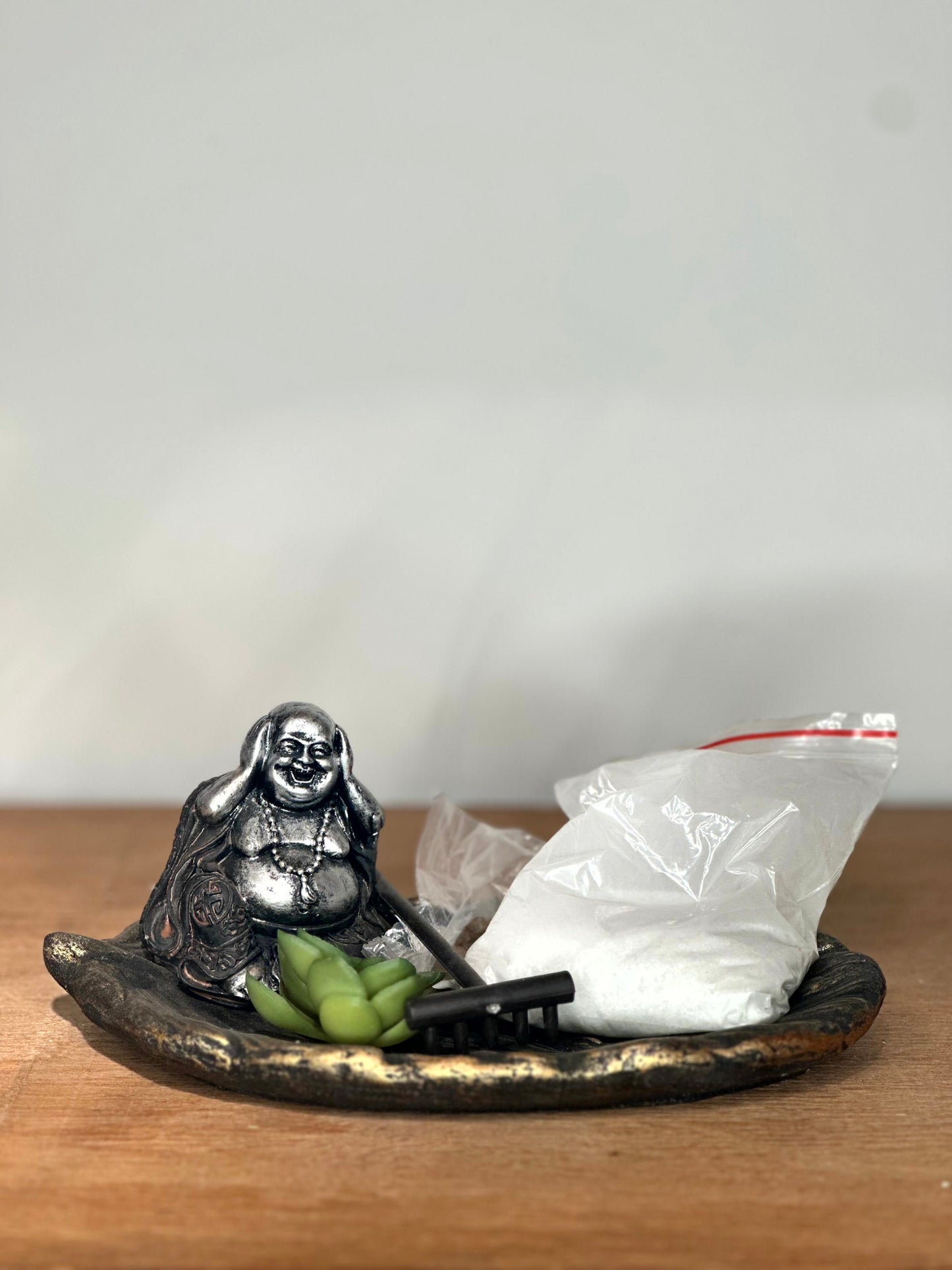 Mini Jardín Zen con Buddha, Suculenta y Rastrillo