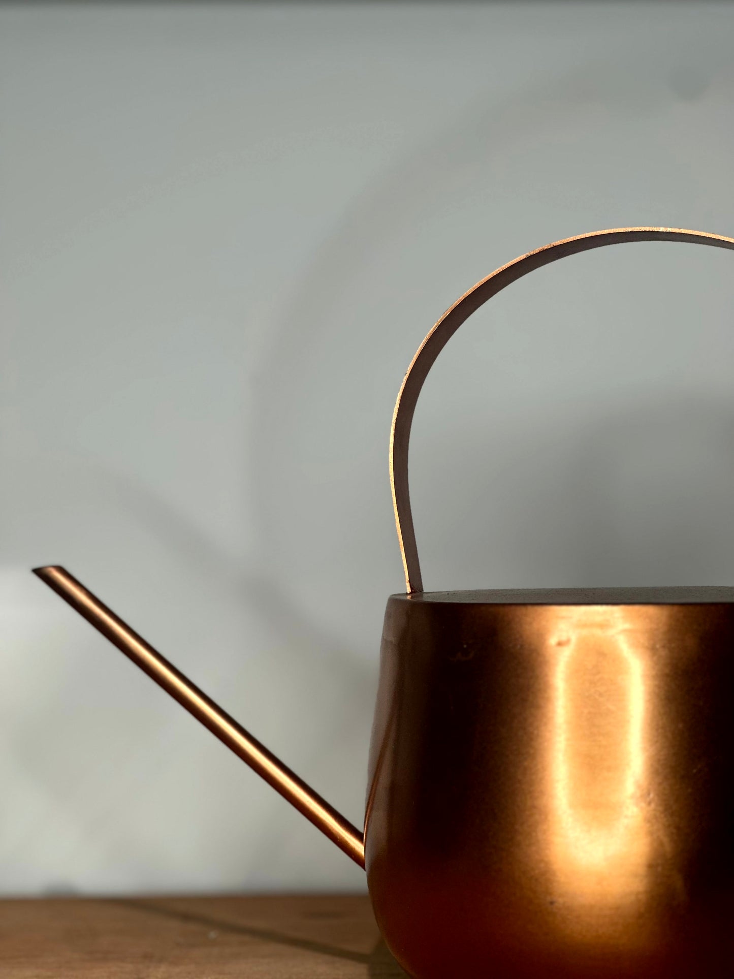 Regadera Decorativa Cobriza