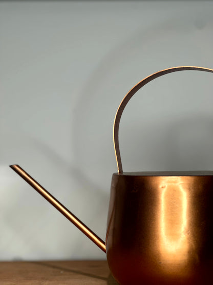 Regadera Decorativa Cobriza